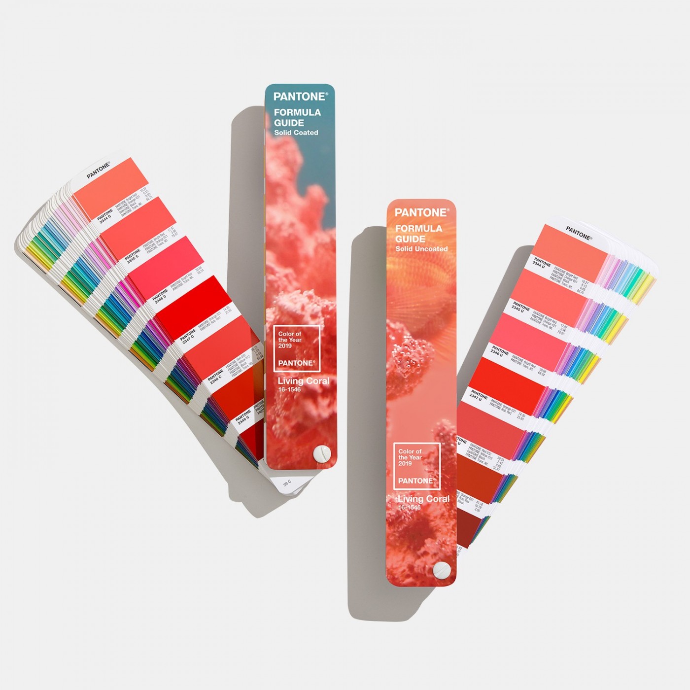 Pantone 公布 2019 年度代表色：PANTONE 16-1546 Living Coral 活珊瑚